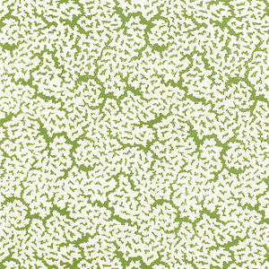 Maldives Green F942041 by Thibaut Fabric