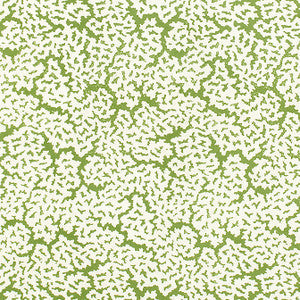 Maldives Green F942041 by Thibaut Fabric