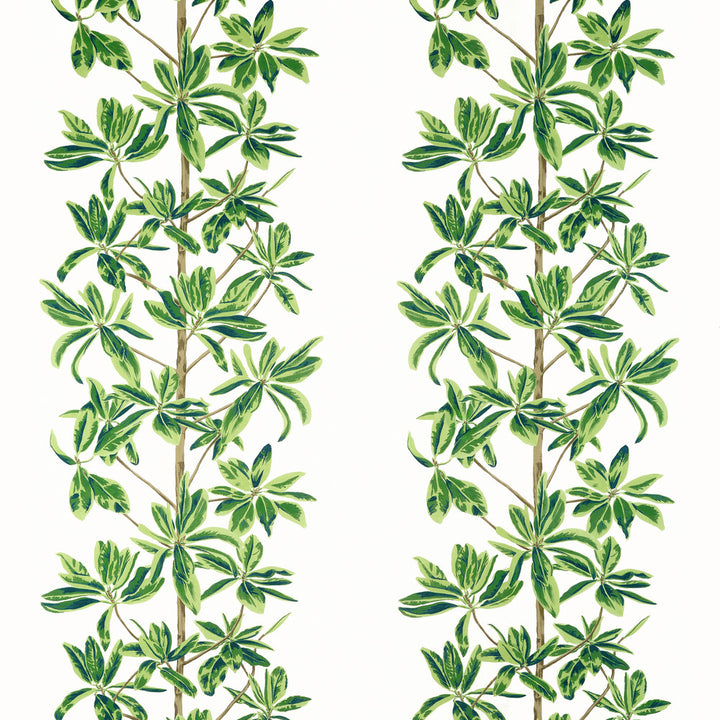 Thibaut Fabric Mangrove Tree Green and White F945035 Fabric U.S.A </p><p>Repeat: H: 27  in  (68.58  cm), V: 34.75  (88.27  cm) 54  in  (137.16  cm) - My Fabric Connection -