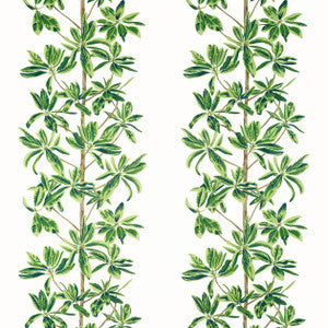 Thibaut Fabric Mangrove Tree Green and White F945035