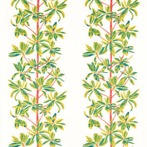 Mangrove Tree Coral F945036 By Thibaut Fabric
