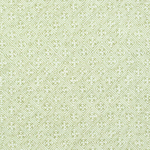 Laos Spring Green F972615 by Thibaut Fabric
