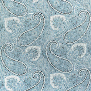 Sherrill Paisley Aqua F985078 By Thibaut Fabric