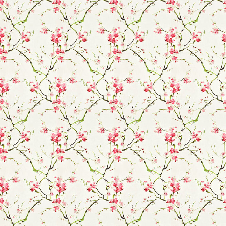 Fable 1 Raspberry by Stout Fabric COMFORTABLE LIVING BLUSH/GINGER 100%COT INDIA CATB 117-2013 WYZENBEEK 15 000 DOUBLE RUB WEAR TEST (HEAVY DUTY) Horizontal: 13.75 and Vertical: 24 54 in - Fabric Carolina -