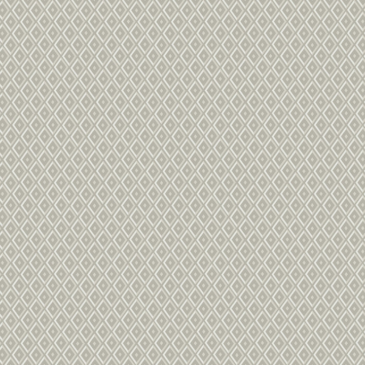 Facet 1W7781 by JF Fabric ARRIS 40% Viscose, 38% Polyester, 22% Cotton Belgium 33000 Horizontal: 2.5 and Vertical: 3 55 - Fabric Carolina -