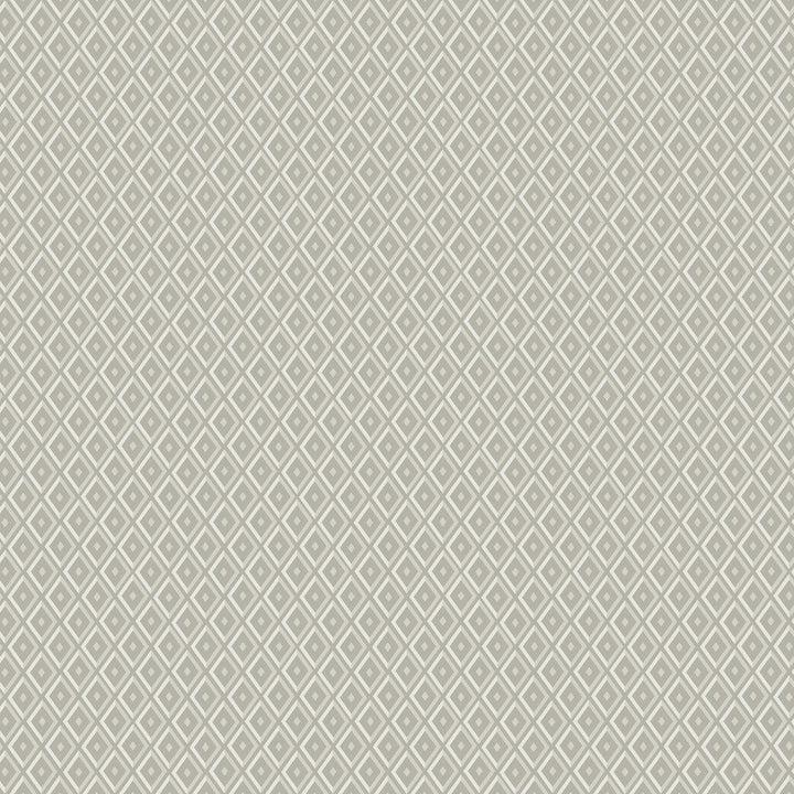 Facet 1W7781 by JF Designer Fabric ARRIS 40% Viscose, 38% Polyester, 22% Cotton Belgium 33000 Horizontal: 2.5 and Vertical: 3 55 - Swanky Fabrics -