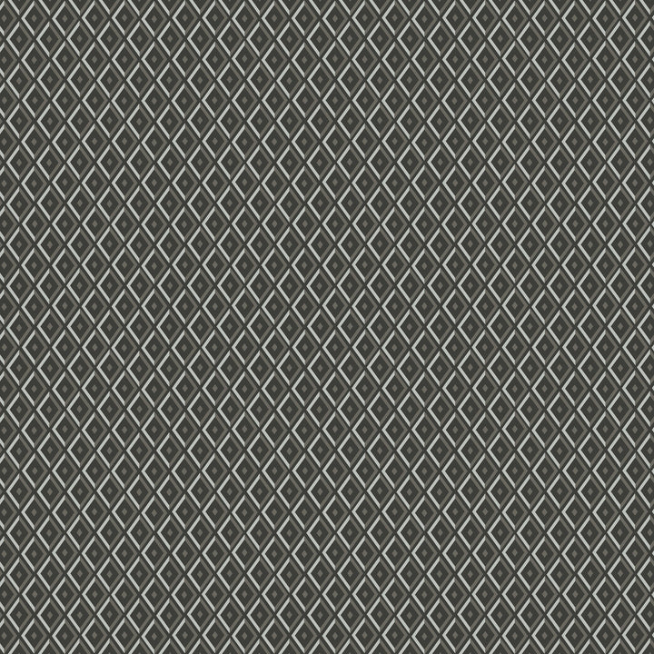 Facet 5W7781 by JF Fabric ARRIS 40% Viscose, 38% Polyester, 22% Cotton Belgium 33000 Horizontal: 2.5 and Vertical: 3 55 - Fabric Carolina -