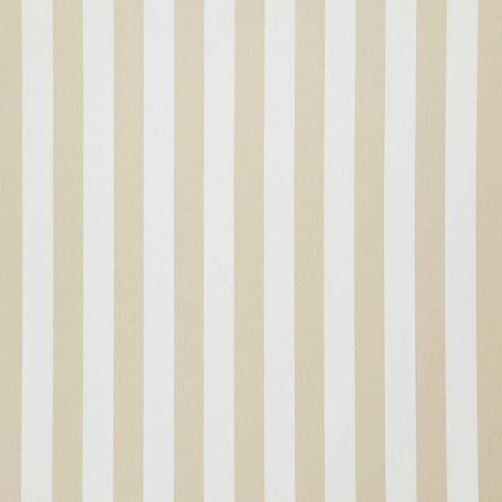 Falsetto 12J7611 by JF Fabric Le Cirque Book 59% Cotton, 41% Polyester India 50000 Horizontal: 2 and Vertical: 55 - Fabric Carolina -