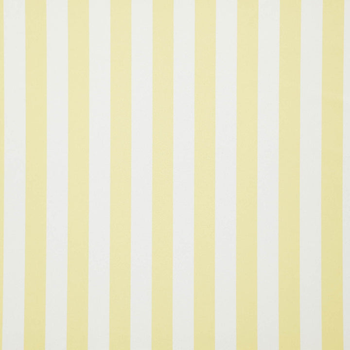 Falsetto 14J7611 by JF Fabric Le Cirque Book 59% Cotton, 41% Polyester India 50000 Horizontal: 2 and Vertical: 55 - Fabric Carolina -