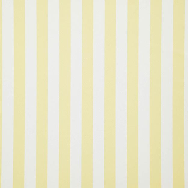 FALSETTO 14J7611 by JF Designer Fabric LE CIRQUE 59% Cotton, 41% Polyester INDIA ABRASIO (HEAVY DUTY- 30,000+ DOUBLE RUBS) Horizontal: 2.000 and Vertical: N/A 55.00 - Swanky Fabrics -