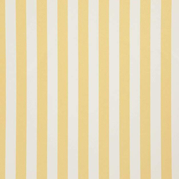 FALSETTO 16J7611 by JF Designer Fabric LE CIRQUE 59% Cotton, 41% Polyester INDIA ABRASIO (HEAVY DUTY- 30,000+ DOUBLE RUBS) Horizontal: 2.000 and Vertical: N/A 55.00 - Swanky Fabrics -