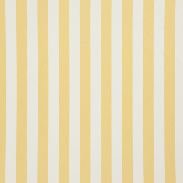 Falsetto 16J7611 by JF Fabric Le Cirque Book 59% Cotton, 41% Polyester India 50000 Horizontal: 2 and Vertical: 55 - Fabric Carolina -