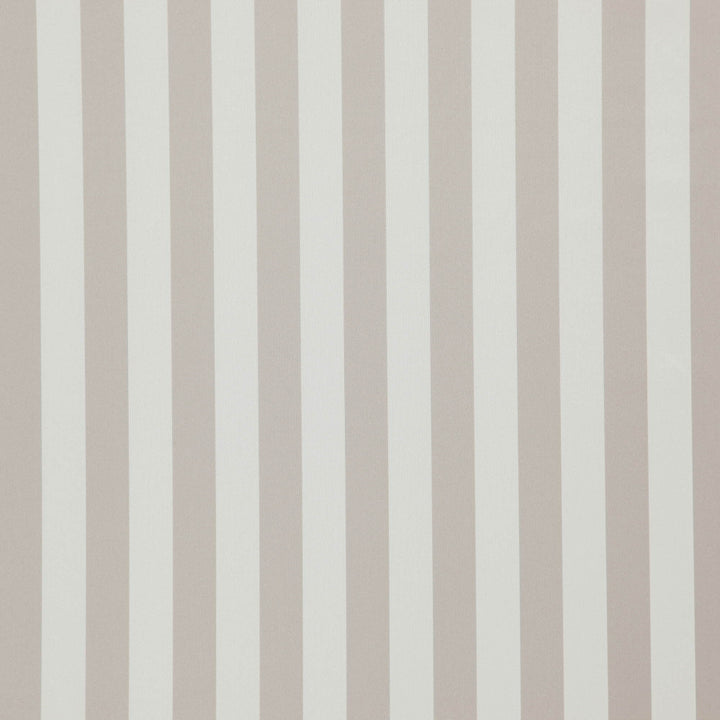 Falsetto 32J7611 by JF Fabric Le Cirque Book 59% Cotton, 41% Polyester India 50000 Horizontal: 2 and Vertical: 55 - Fabric Carolina -