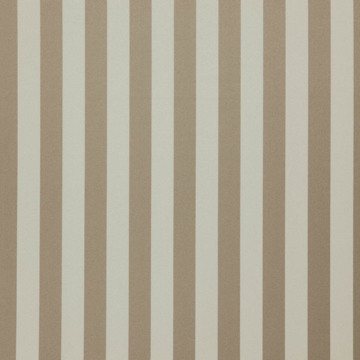 FALSETTO 33J7611 by JF Fabric Le Cirque Book 59% Cotton, 41% Polyester India Horizontal: 2 and Vertical: 55 - Fabric Carolina -