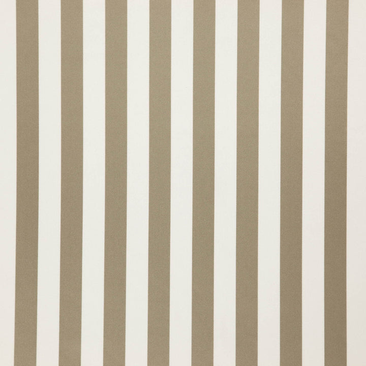 Falsetto 34J7611 by JF Fabric Le Cirque Book 59% Cotton, 41% Polyester India 50000 Horizontal: 2 and Vertical: 55 - Fabric Carolina -