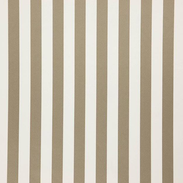 FALSETTO 34J7611 by JF Designer Fabric LE CIRQUE 59% Cotton, 41% Polyester INDIA ABRASIO (HEAVY DUTY- 30,000+ DOUBLE RUBS) Horizontal: 2.000 and Vertical: N/A 55.00 - Swanky Fabrics -