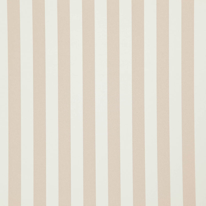 Falsetto 41J7611 by JF Fabric Le Cirque Book 59% Cotton, 41% Polyester India 50000 Horizontal: 2 and Vertical: 55 - Fabric Carolina -