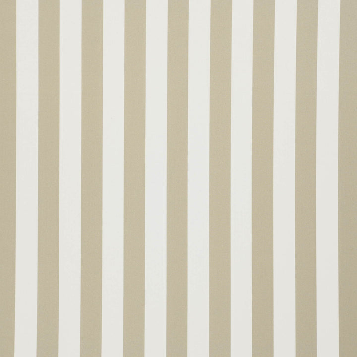 Falsetto 71J7611 by JF Fabric Le Cirque Book 59% Cotton, 41% Polyester India 50000 Horizontal: 2 and Vertical: 55 - Fabric Carolina -