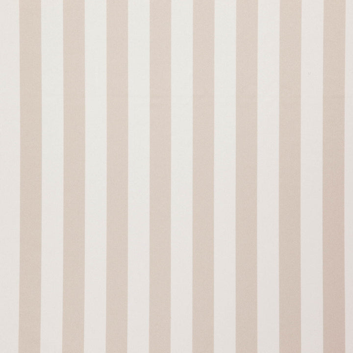 Falsetto 92J7611 by JF Fabric Le Cirque Book 59% Cotton, 41% Polyester India 50000 Horizontal: 2 and Vertical: 55 - Fabric Carolina -