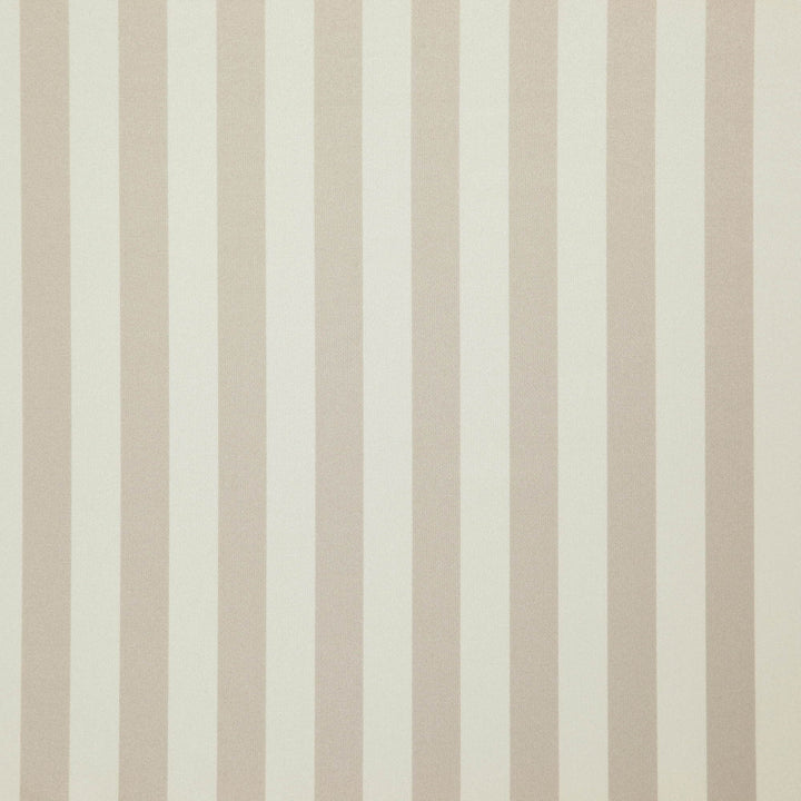 Falsetto 93J7611 by JF Fabric Le Cirque Book 59% Cotton, 41% Polyester India 50000 Horizontal: 2 and Vertical: 55 - Fabric Carolina -