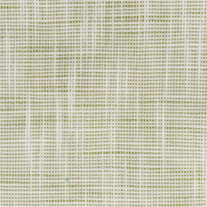 Fame 3 Seedling by Stout Fabric