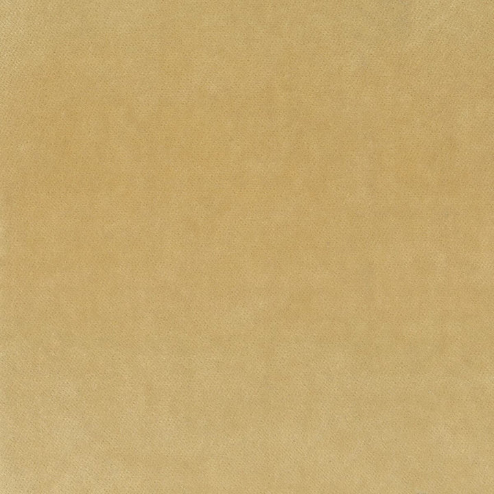 Faraday 2 Champagne by Stout Fabric COMFORTABLE LIVING BLUE LAGOON 82%POL 18%COT SOUTH KOREA FLAME RETARDANT-CA BULLETIN 117-SECTION E FLAME RETARDANT-U.F.A.C. CLASS 1 WYZENBEEK 100 000 DOUBLE RUB WEAR TEST (HEAVY DUTY) </p><p>Repeat: 0 54 in - Fabric Carolina -