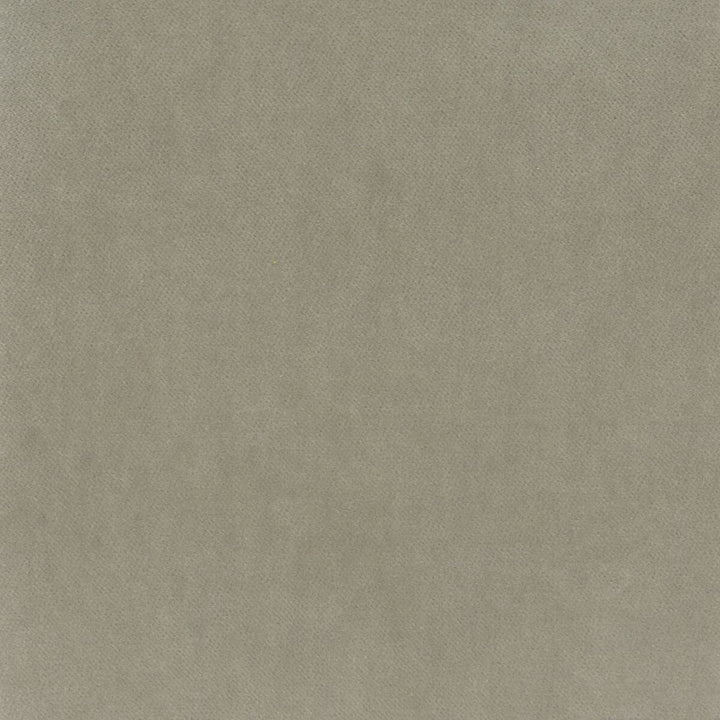 Faraday 3 Dove by Stout Fabric COMFORTABLE LIVING DAWN TO DUSK 82%POL 18%COT SOUTH KOREA FLAME RETARDANT-CA BULLETIN 117-SECTION E FLAME RETARDANT-U.F.A.C. CLASS 1 WYZENBEEK 100 000 DOUBLE RUB WEAR TEST (HEAVY DUTY) </p><p>Repeat: 0 54 in - Fabric Carolina -