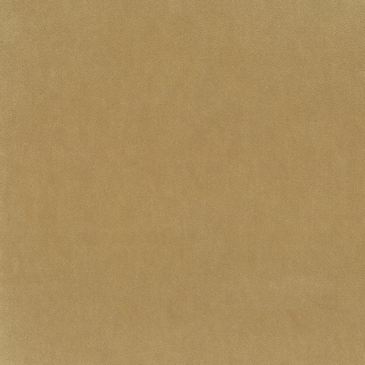 Faraday 4 Caramel by Stout Fabric COMFORTABLE LIVING DAWN TO DUSK 82%POL 18%COT SOUTH KOREA FLAME RETARDANT-CA BULLETIN 117-SECTION E FLAME RETARDANT-U.F.A.C. CLASS 1 WYZENBEEK 100 000 DOUBLE RUB WEAR TEST (HEAVY DUTY) </p><p>Repeat: 0 54 in - Fabric Carolina -