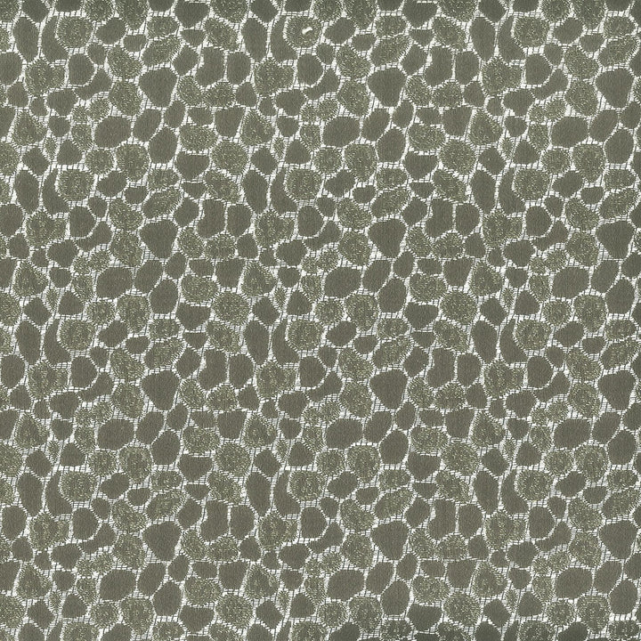 Farewell 1 Slate by Stout Fabric RAINBOW LIBRARY CHROME/NICKEL 50%LIN 30%POL 20%SVI INDIA </p><p>Repeat: 1.375 55.88 in - Fabric Carolina -