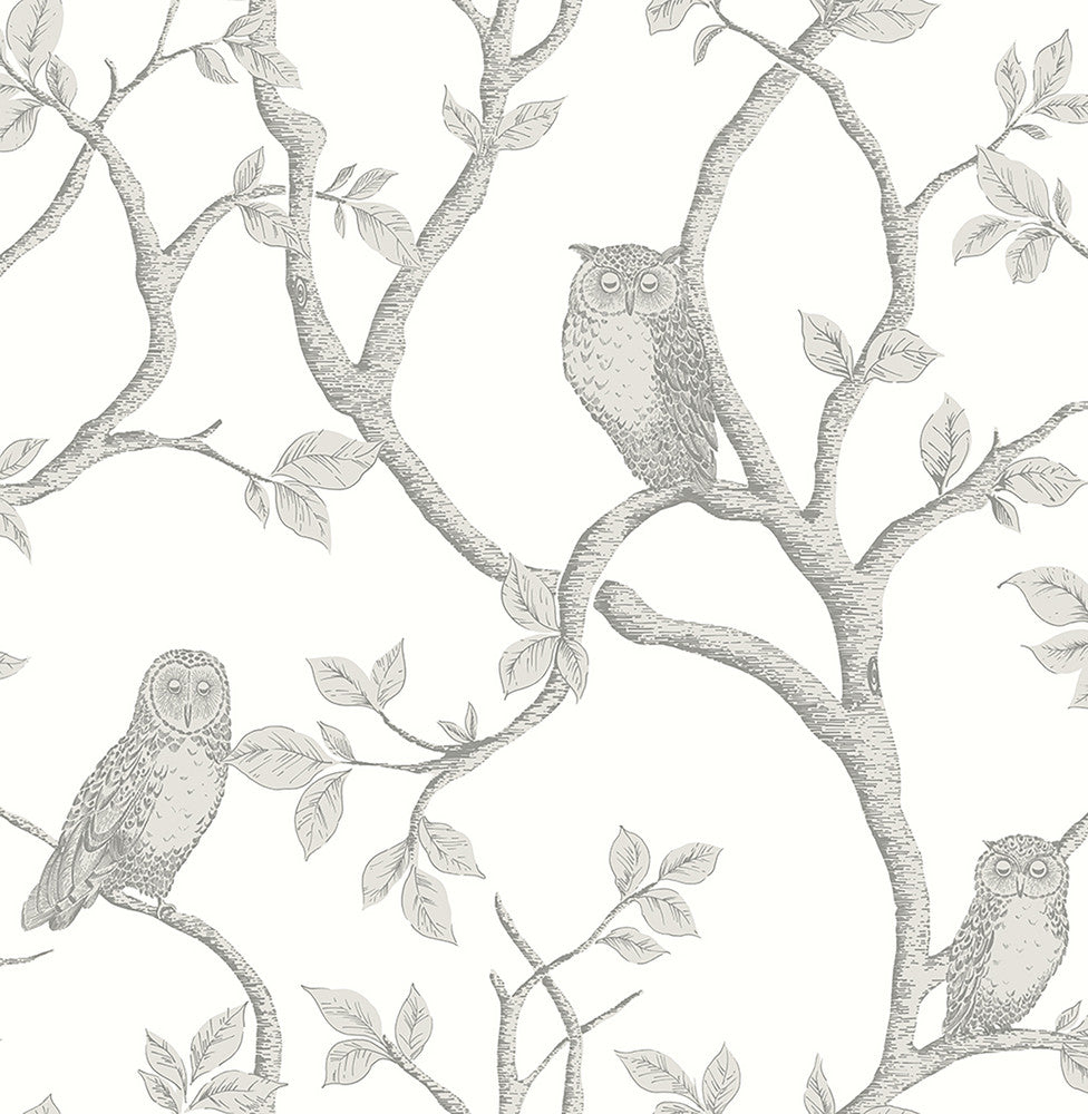 Enchanted Forest Grey Owl & Tree Wallpaper by Brewster Brewster Essentials Covers about 56.4 square feet 20.5-in by 33-ft long roll Unpasted 20.87 - Fabric Carolina -