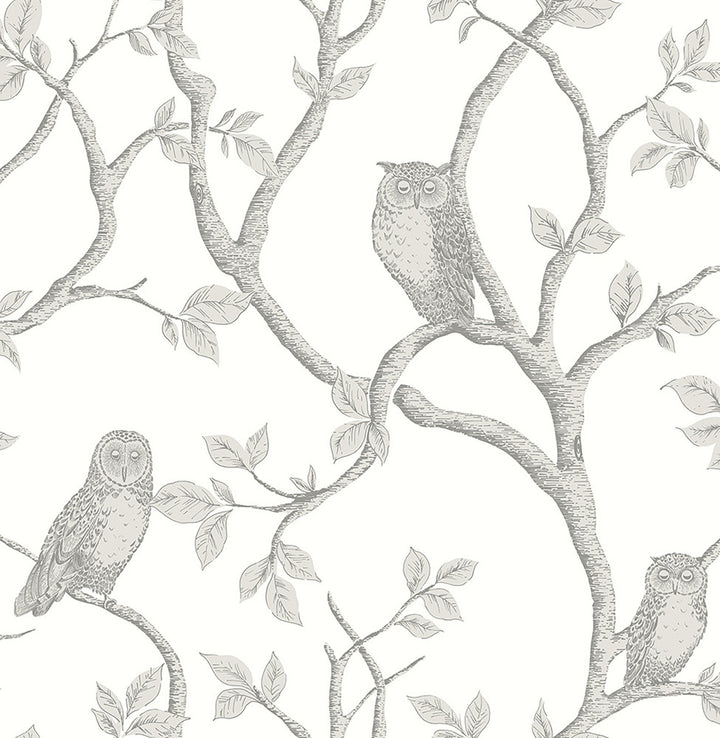 Enchanted Forest Grey Owl & Tree Wallpaper by Brewster Brewster Essentials Covers about 56.4 square feet 20.5-in by 33-ft long roll Unpasted 20.87 - Fabric Carolina -