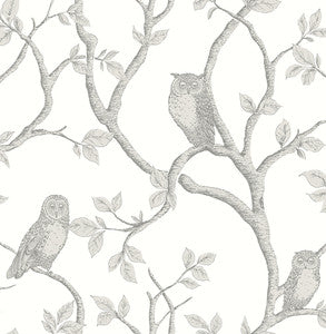 Enchanted Forest Grey Owl & Tree Wallpaper by Brewster