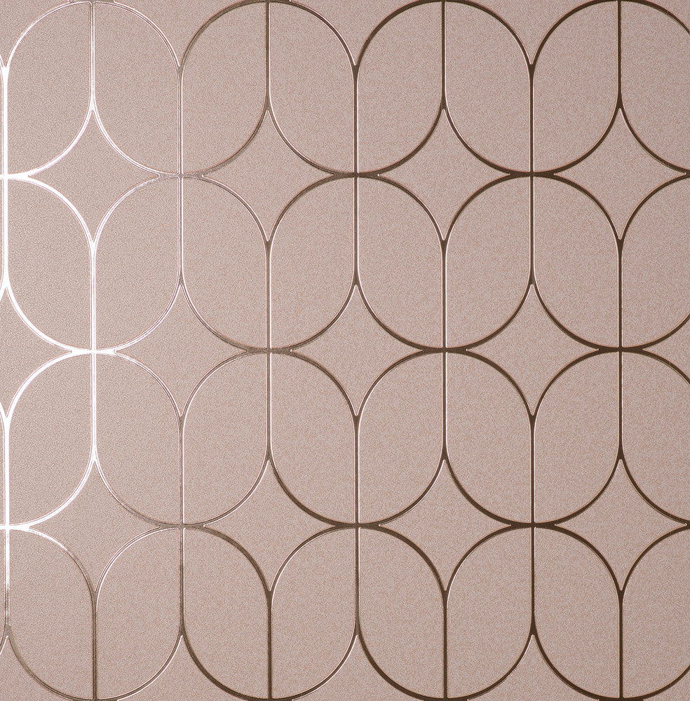 Raye Pink Rosco Trellis Wallpaper by Fine Decor Medley Covers about 57.5 square feet China Unpasted 20.9-in repeat, straight match 20.9-in by 33-ft long roll - Fabric Carolina -