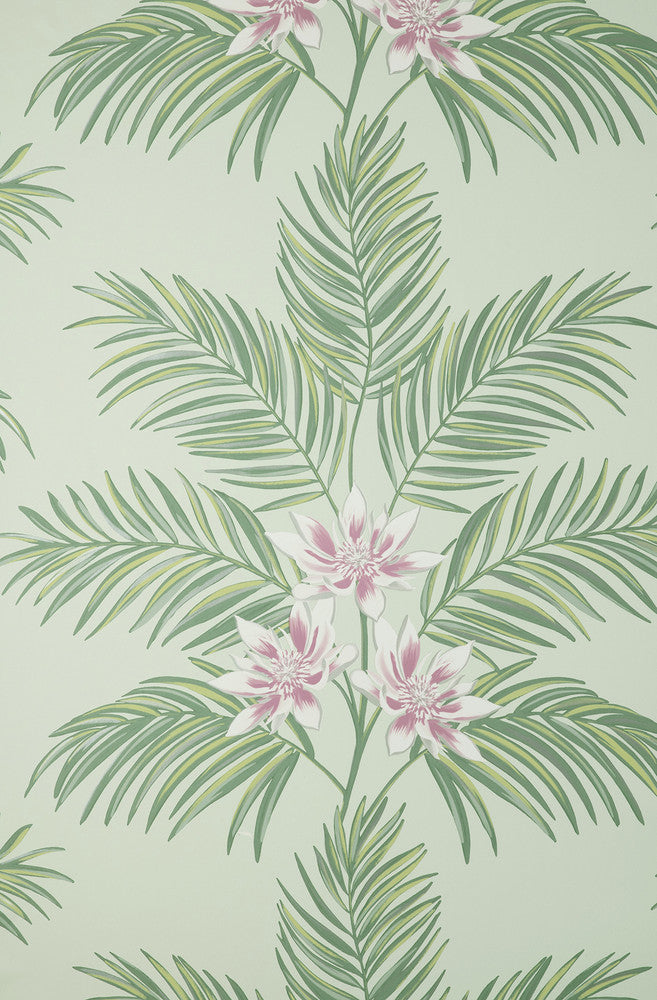 Bali Sage Palm Wallpaper by Fine Decor Medley Covers about 56.4 square feet 20.5-in by 33-ft long roll Unpasted 20.9 - Fabric Carolina -