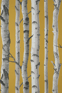 Chester Mustard Birch Trees Wallpaper by Fine Decor