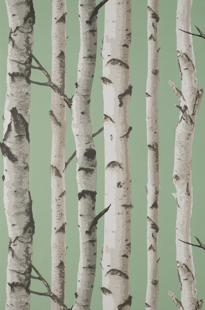 Chester Sage Birch Trees Wallpaper by Fine Decor Medley Covers about 56.4 square feet 20.5-in by 33-ft long roll Unpasted 20.9 - Fabric Carolina -
