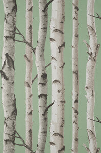 Chester Sage Birch Trees Wallpaper by Fine Decor