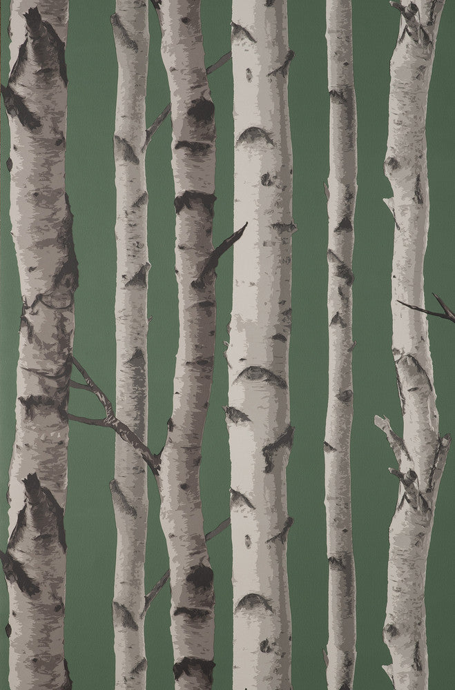 Chester Dark Green Birch Trees Wallpaper by Fine Decor Medley Covers about 56.4 square feet 20.5-in by 33-ft long roll Unpasted 20.9 - Fabric Carolina -