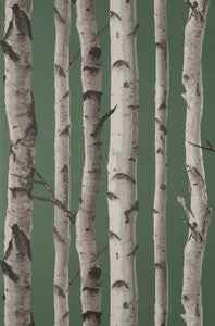 Chester Dark Green Birch Trees Wallpaper by Fine Decor