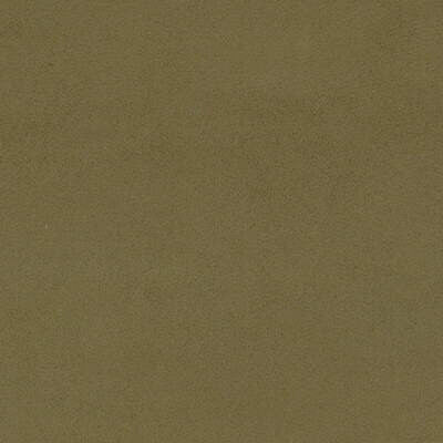 Forte Suede Cactus by Mulberry Fabric Mulberry Fabric Forte Suede CactusFabric CONCERTO SUEDE RECYCLED POLYESTER - 80%;POLYURETHANE - 20% Japan </p><p>Repeat: H: 0, V: 0 54 - Fabric Carolina -