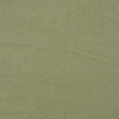 Forte Suede Willow by Mulberry Fabric CONCERTO SUEDE RECYCLED POLYESTER - 80%;POLYURETHANE - 20% Japan HEAVY Horizontal: 0 and Vertical: 0 54 - Fabric Carolina -