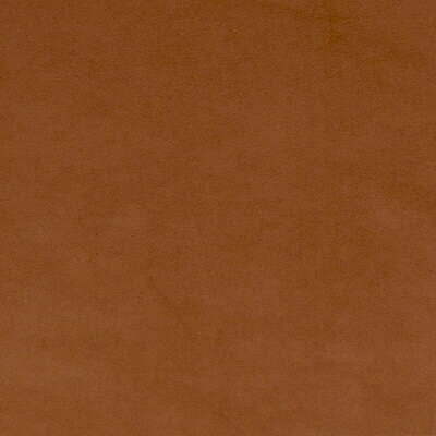 Forte Suede Aztec by Mulberry Fabric Mulberry Fabric Forte Suede AztecFabric CONCERTO SUEDE RECYCLED POLYESTER - 80%;POLYURETHANE - 20% Japan </p><p>Repeat: H: 0, V: 0 54 - Fabric Carolina -