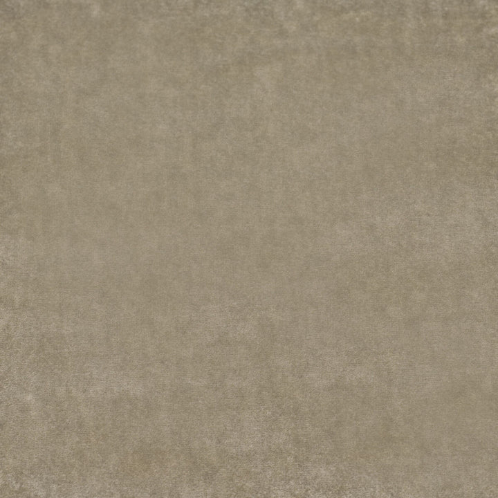 Rossini Velvet Oyster by Mulberry Fabric HEIRLOOM VISCOSE - 70%;COTTON - 24%;POLYESTER - 6% Italy HEAVY Horizontal: - and Vertical: - 55.948 - Fabric Carolina -
