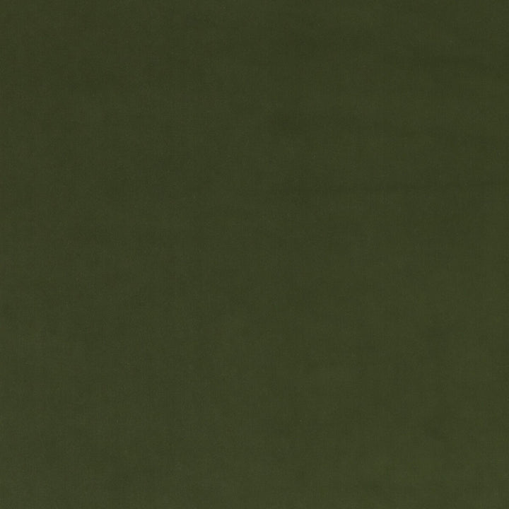 Mulberry Velvet Emerald by Mulberry Fabric Mulberry Fabric Mulberry Velvet EmeraldFabric MULBERRY VELVET COTTON - 85%;POLYESTER - 15% Netherlands </p><p>Repeat: H: , V: 53.978 - Fabric Carolina -