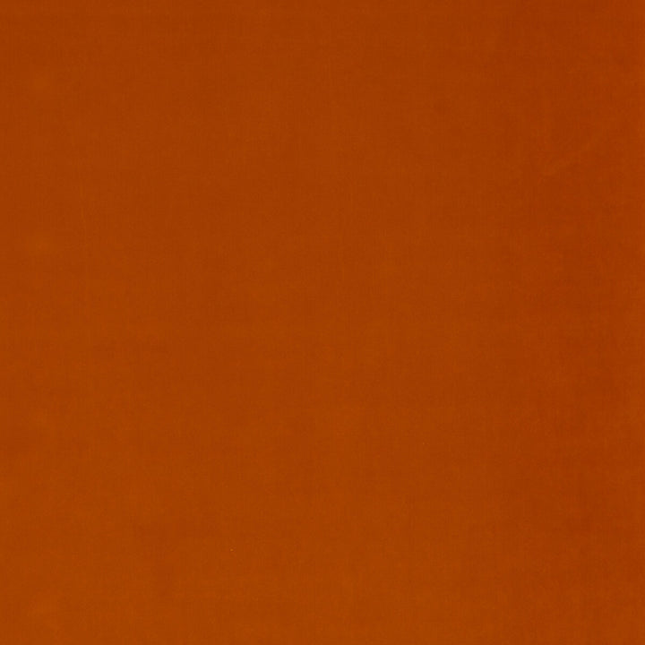 Mulberry Velvet Spice by Mulberry Fabric MULBERRY VELVET COTTON - 85%;POLYESTER - 15% Netherlands Horizontal: and Vertical: 53.978 - Fabric Carolina -