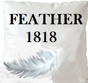 Feather 1818 Insert 18X18 by Norbar Fabric