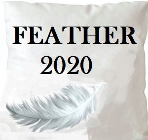 Feather 2020 Insert 20X20 by Norbar Fabric