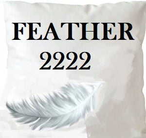 Feather 2222 Insert 22X22 by Norbar Fabric