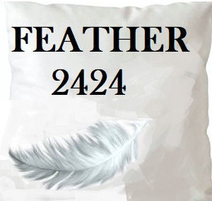 Feather 2424 Insert 24X24 by Norbar Fabric