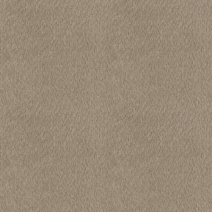 Felicity 62 Fawn by ABBEYSHEA Fabric 100% Polyester CN 160,000 Double Rubs (Wyzenbeek) </p><p>Repeat: Horizontal: and Vertical: 55 in. (140 cm) - Fabric Carolina -